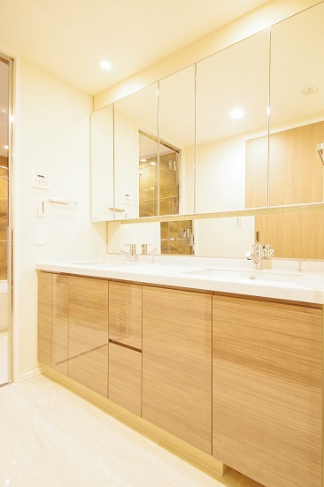 港区赤坂８丁目の賃貸マンションのその他|洗面