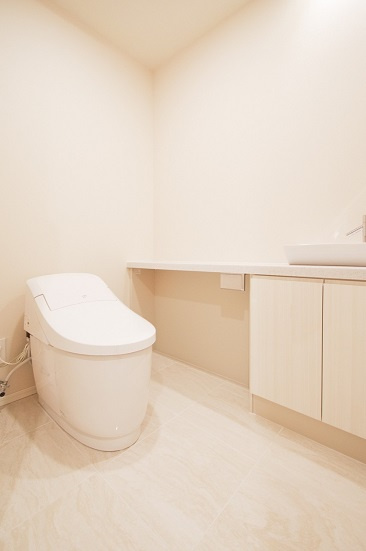 港区赤坂８丁目の賃貸マンションのその他|トイレ