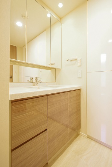 港区赤坂８丁目の賃貸マンションのその他|洗面