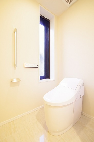 港区赤坂８丁目の賃貸マンションのその他|トイレ