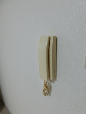 【セキュリティ】 | シェーンハイト