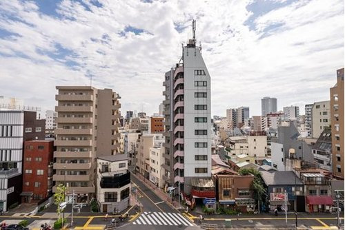 プレシス入谷の展望