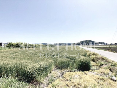 【展望】 | 福岡町天白戸建
