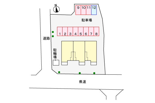  | カラー