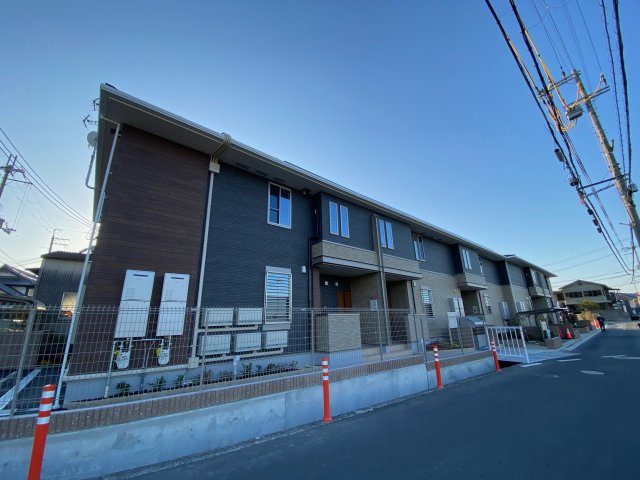 ゼフィランサスの外観