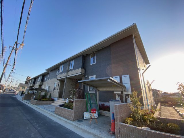 ゼフィランサスの外観