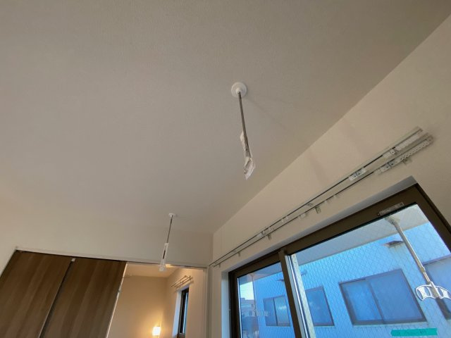 ゼフィランサスのその他