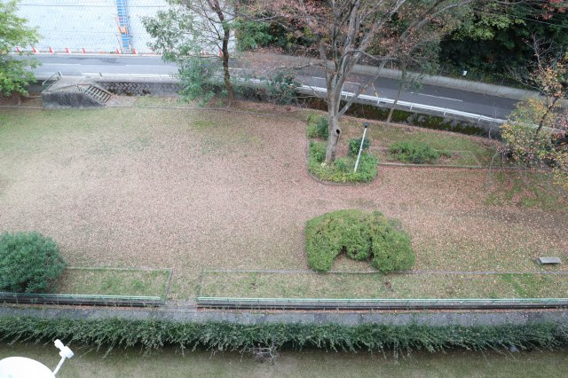 稲毛パークハウスB棟の展望|バルコニー前面は中園第１公園です。自然がいっぱい