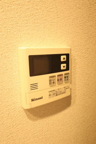 カンフルツリーハウスのその他