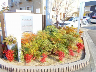 【展望】