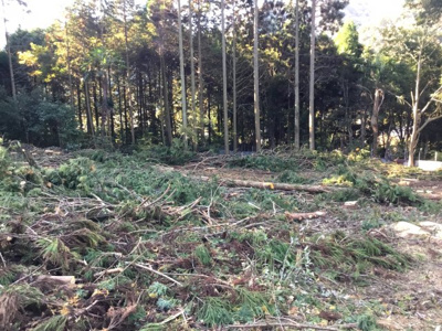 【外観】 | 山南町小野尻山林２