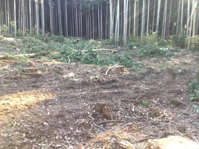 【外観】 | 山南町小野尻山林２