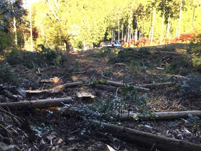 【外観】 | 山南町小野尻山林２