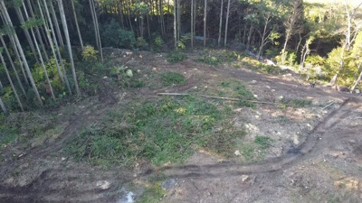 【外観】 | 山南町小野尻山林２