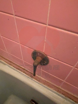  | 大阪市東住吉区公園南矢田3丁目戸建