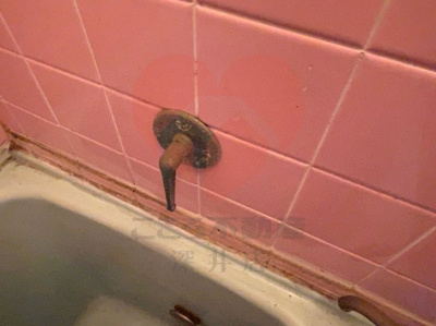  | 大阪市東住吉区公園南矢田3丁目戸建