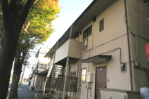 サンシャワーMの画像