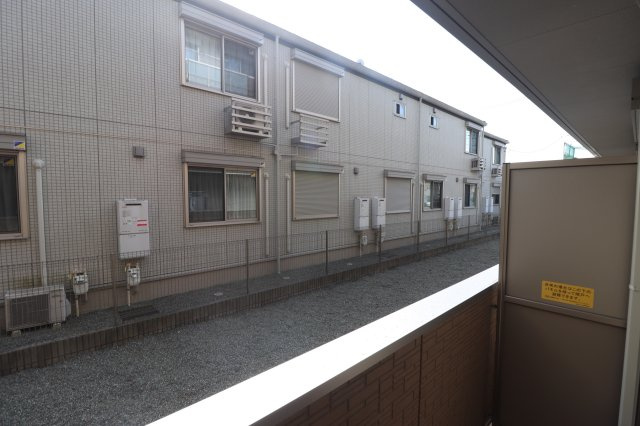 ベルミナールAの展望