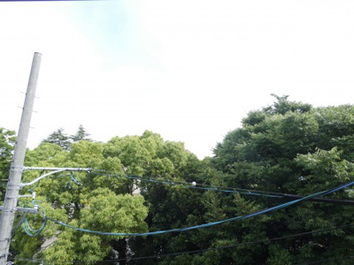 【展望】 | カーサヴェルデ