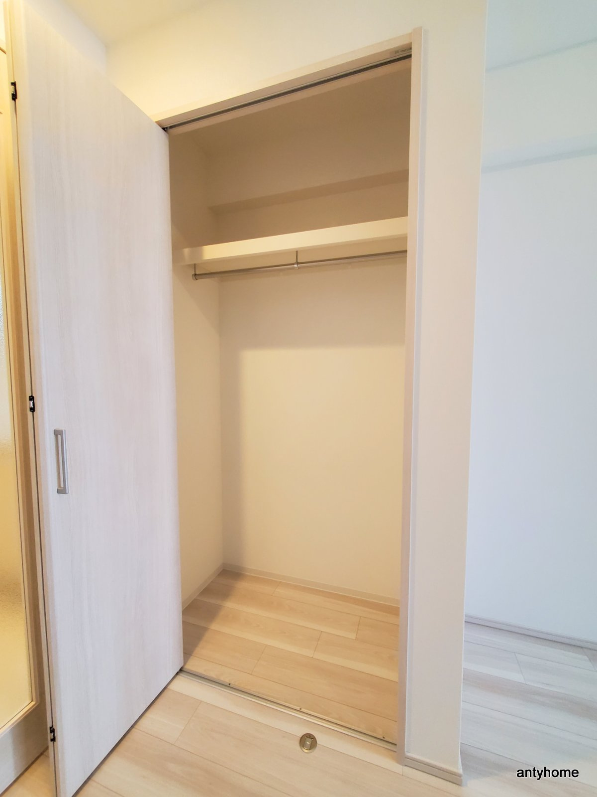 スプランディッド中之島DUE　仲介手数料無料の収納