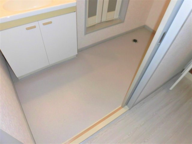 サンビレッジ築捨の洗面所