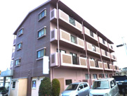 コンプリチェKATAYAMAの画像
