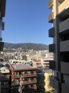 【展望】