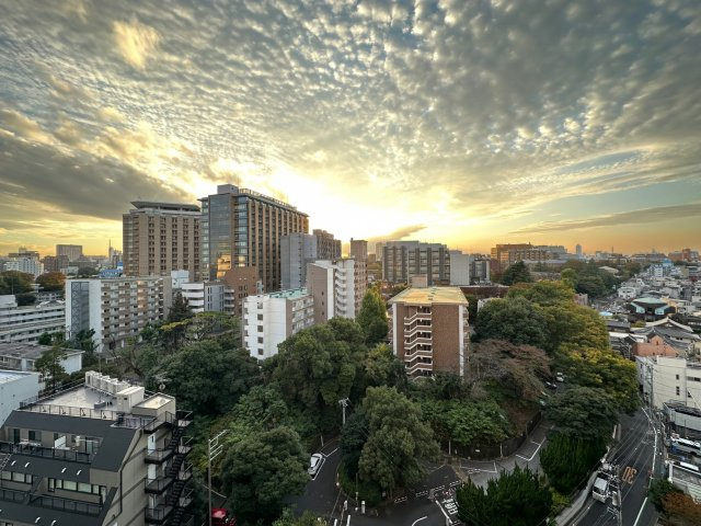 【展望】