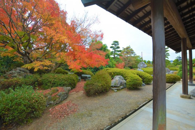 【庭】 | 田川市大字伊加利