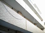 ロイヤル福島の画像