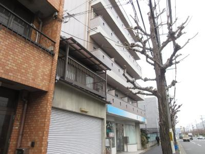 グランデ御池の外観