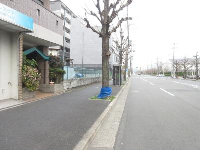 グランデ御池の周辺|前面道路