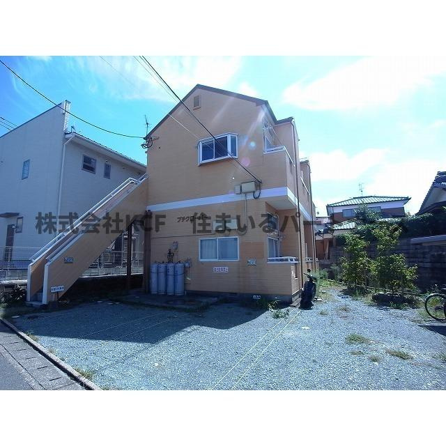 プチクローバー