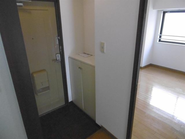 高石市綾園１丁目の賃貸マンションの玄関|落ち着いた玄関です