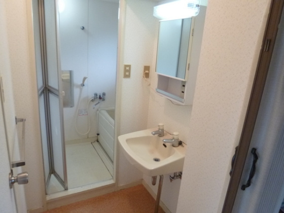 コーポレーティッドナカシマの洗面所