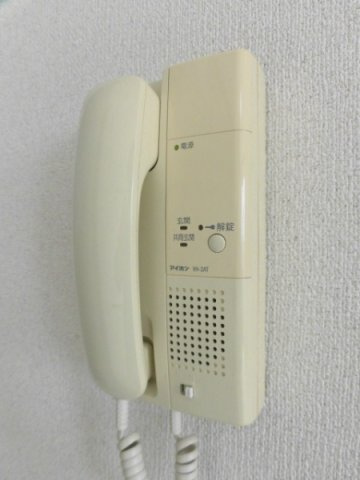 ヴィライカイのセキュリティ