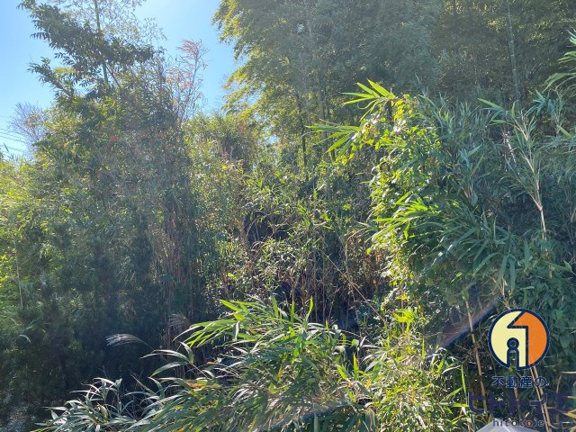 センチュリー21の展望|バルコニーからの眺望です