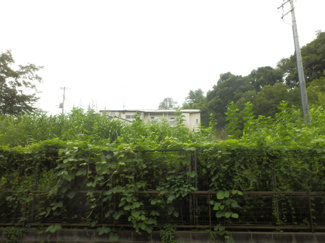 【展望】 | 別室・参考