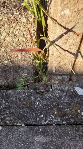 高島市鴨63坪土地のその他|南東境界