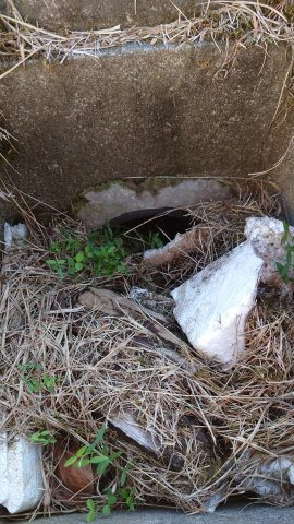 高島市鴨63坪土地のその他|公共下水道引込済