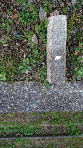 高島市鴨63坪土地のその他|北西境界