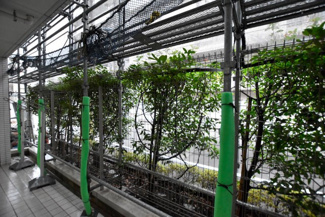 【展望】 | バルコニーからの眺望　※大規模修繕工事中