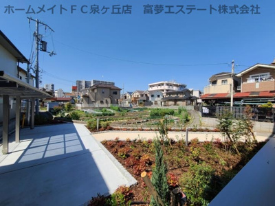【展望】 | フェリーチェ鳳