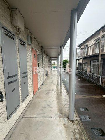 カモミールのロビー