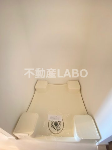 スプランディッドキャトルのその他