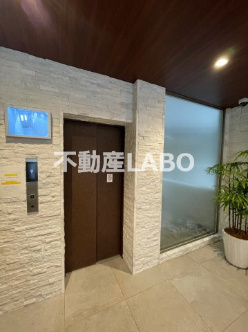 スプランディッドキャトルのその他