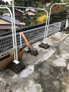 【展望】