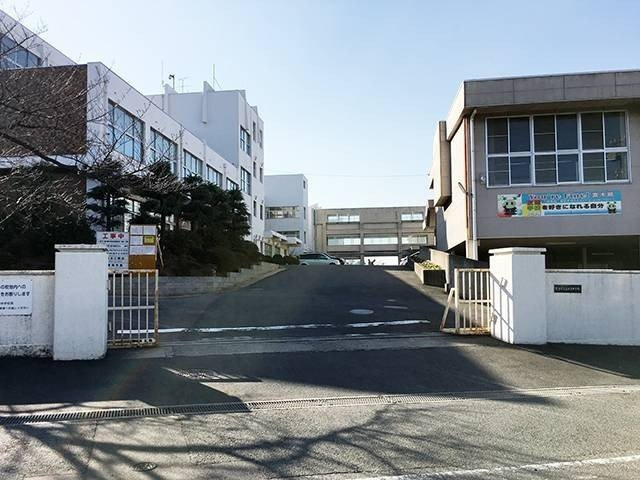ＰＥＡＲＳ（ペアーズ）の周辺|富木島中学校まで354m