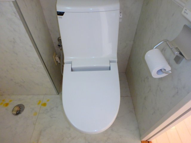 ＢＥＣＫ住吉のトイレ|他のお部屋の参考写真となります。