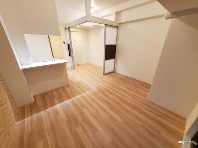 セレニテ堺筋本町リアン　仲介手数料無料の居間・リビング